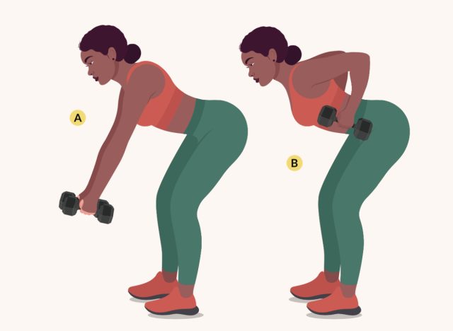 illustration of bent row with dumbbells
