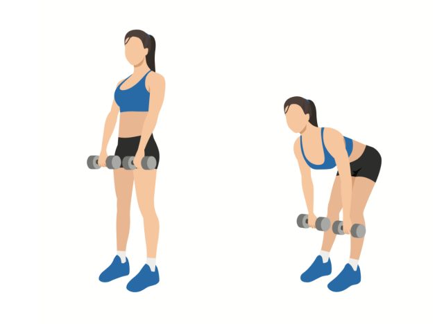 dumbbell deadlift illustration