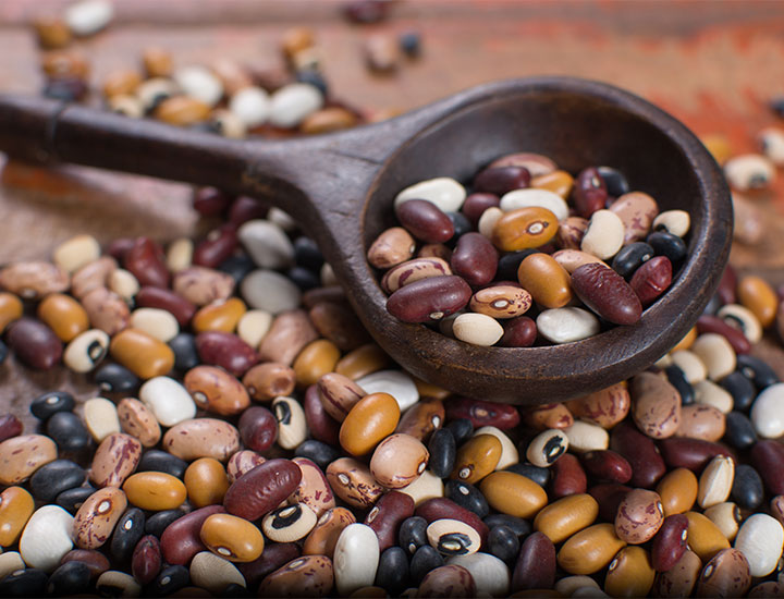Spoonful of various dried beans