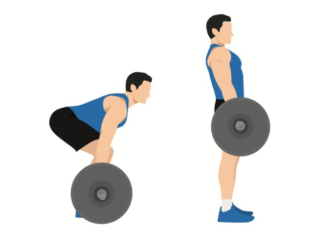 barbell deadlift illustration