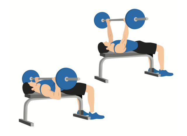 illustration of bench press with barbell