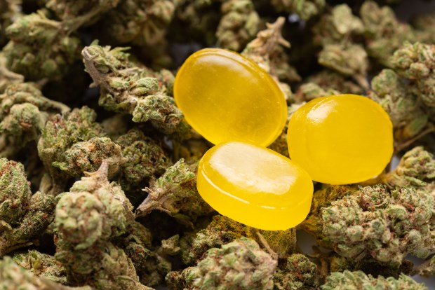 THC Gummies