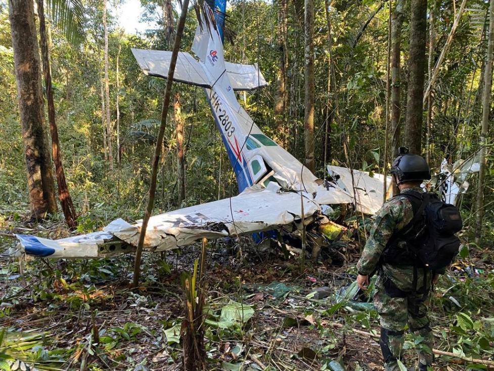 Losing Hope of Finding Children in a Plane Crash, Indigenous Researchers Turned to a Ritual: Ayahuasca