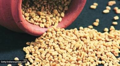 fenugreek seeds, slimming seeds, lose weight, fenugreek seeds are healthy, fenugreek seeds are good for diabetics
