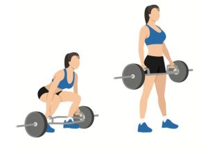 hex bar squat demonstration illustration